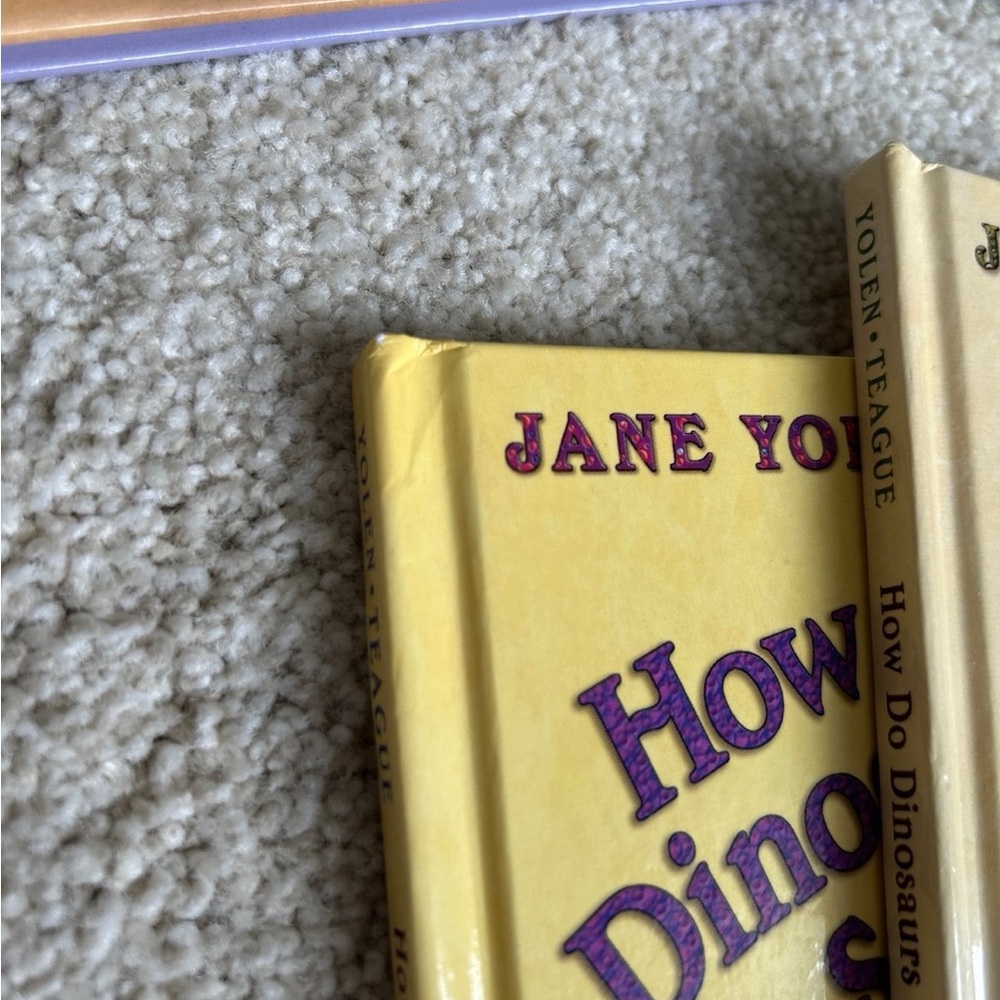 How Do Dinosaurs Read for Fun? Boxed Set - Picture 7 of 9